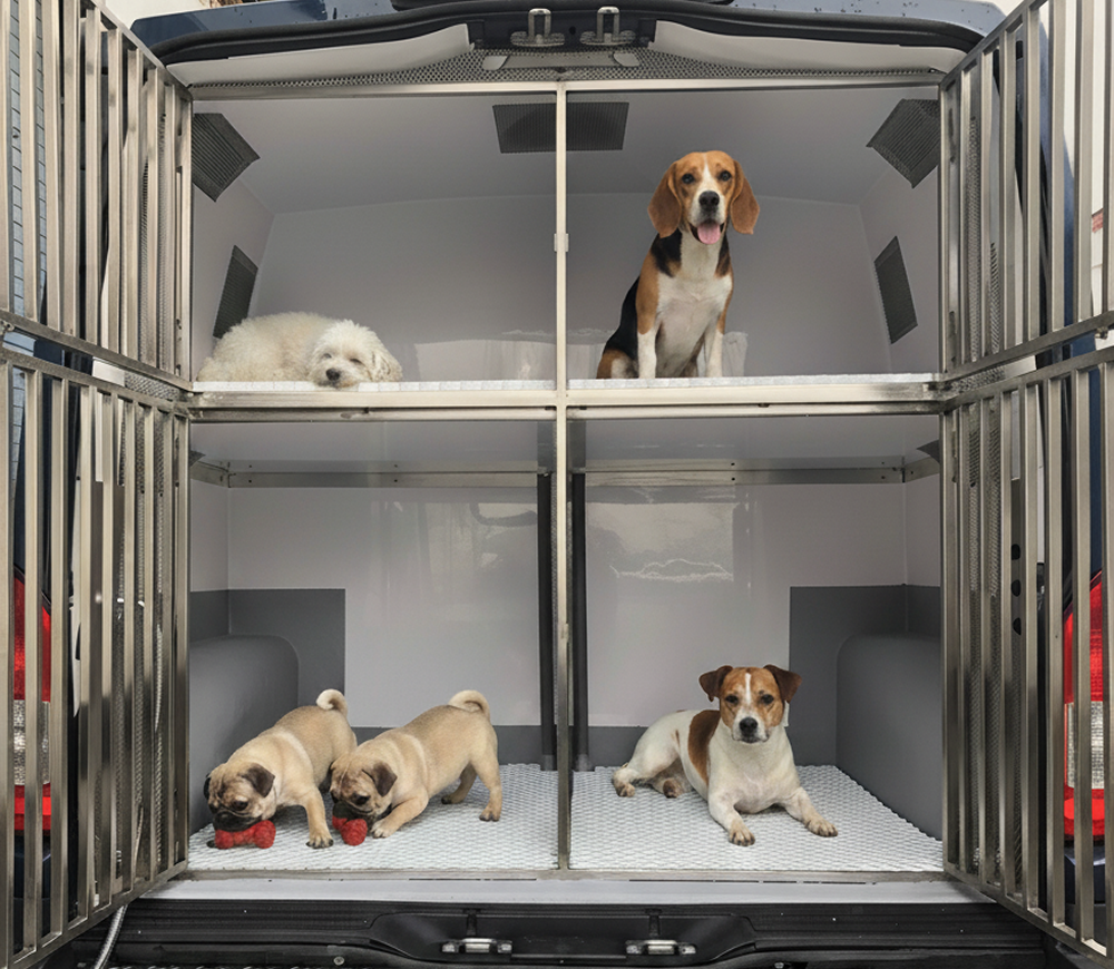 ¿Cómo transportar animales bajo los estándares de bienestar animal?